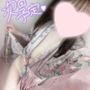 ヒメ日記 2025/07/20 00:22 投稿 めあり いざ候 本館