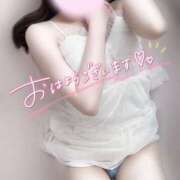 ヒメ日記 2025/07/20 07:57 投稿 めあり いざ候 本館