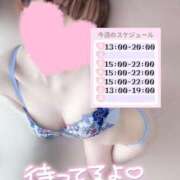 ヒメ日記 2025/07/20 22:47 投稿 めあり いざ候 本館