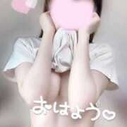 ヒメ日記 2025/07/22 09:57 投稿 めあり いざ候 本館