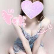 ヒメ日記 2025/08/20 06:37 投稿 めあり いざ候 本館