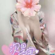 ヒメ日記 2025/08/23 23:32 投稿 めあり いざ候 本館