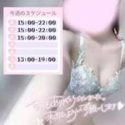 ヒメ日記 2025/08/31 23:17 投稿 めあり いざ候 本館