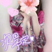 ヒメ日記 2025/09/09 00:07 投稿 めあり いざ候 本館