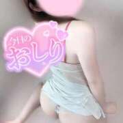 ヒメ日記 2025/09/13 10:17 投稿 めあり いざ候 本館