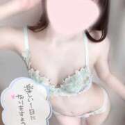 ヒメ日記 2025/09/28 09:47 投稿 めあり いざ候 本館