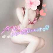 ヒメ日記 2025/10/06 11:17 投稿 めあり いざ候 本館