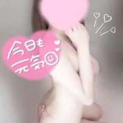 ヒメ日記 2025/10/08 09:07 投稿 めあり いざ候 本館