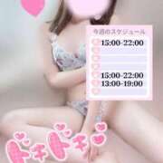 ヒメ日記 2025/10/19 22:49 投稿 めあり いざ候 本館