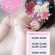 ヒメ日記 2025/11/02 22:47 投稿 めあり いざ候 本館