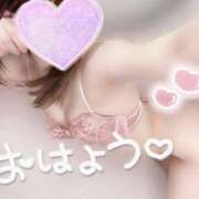 ヒメ日記 2025/11/06 09:17 投稿 めあり いざ候 本館