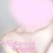 ヒメ日記 2025/11/16 11:37 投稿 めあり いざ候 本館