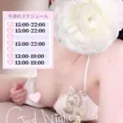 ヒメ日記 2025/11/16 22:47 投稿 めあり いざ候 本館