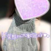 ヒメ日記 2025/11/25 19:17 投稿 めあり いざ候 本館