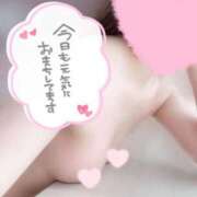 ヒメ日記 2025/11/28 10:57 投稿 めあり いざ候 本館