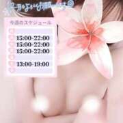 ヒメ日記 2025/12/01 00:17 投稿 めあり いざ候 本館