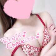 ヒメ日記 2025/12/11 09:17 投稿 めあり いざ候 本館