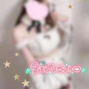 ヒメ日記 2025/12/11 14:17 投稿 めあり いざ候 本館