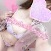 ヒメ日記 2025/12/18 00:07 投稿 めあり いざ候 本館