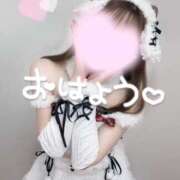 ヒメ日記 2025/12/26 09:17 投稿 めあり いざ候 本館