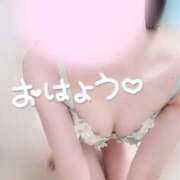 ヒメ日記 2025/12/29 08:17 投稿 めあり いざ候 本館