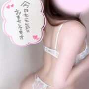 ヒメ日記 2026/01/15 09:17 投稿 めあり いざ候 本館