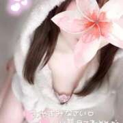 ヒメ日記 2026/01/23 22:48 投稿 めあり いざ候 本館