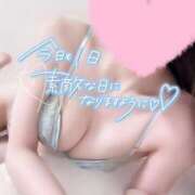 ヒメ日記 2026/01/29 09:07 投稿 めあり いざ候 本館