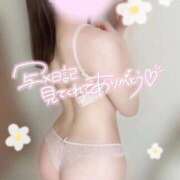 ヒメ日記 2026/01/31 09:17 投稿 めあり いざ候 本館