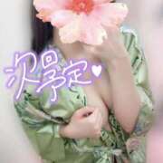 ヒメ日記 2026/02/07 23:40 投稿 めあり いざ候 本館