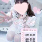 ヒメ日記 2026/02/23 00:57 投稿 めあり いざ候 本館