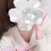 ヒメ日記 2026/02/25 09:17 投稿 めあり いざ候 本館