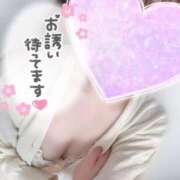 ヒメ日記 2026/04/28 09:57 投稿 めあり いざ候 本館