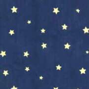 ヒメ日記 2026/02/20 16:45 投稿 唐沢 熟女待機所 厚木店