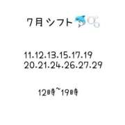 ヒメ日記 2025/07/08 20:11 投稿 るか ナチュラルプリンセス
