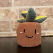 ヒメ日記 2025/07/20 09:21 投稿 世良ふうか コウテイ