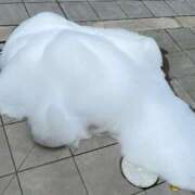 ヒメ日記 2025/06/25 13:16 投稿 める ぷるるん小町日本橋店