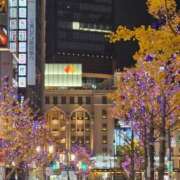 ヒメ日記 2024/12/18 11:12 投稿 ともか ギン妻パラダイス 堺東店