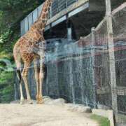 ヒメ日記 2025/06/08 07:28 投稿 ともか ギン妻パラダイス 堺東店