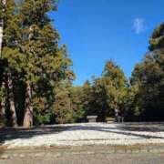 ヒメ日記 2026/01/03 10:06 投稿 ともか ギン妻パラダイス 堺東店