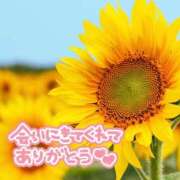 ヒメ日記 2025/07/27 16:20 投稿 芦名 錦糸町おかあさん