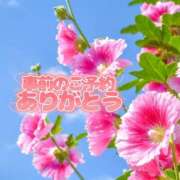 ヒメ日記 2025/07/29 12:02 投稿 芦名 錦糸町おかあさん