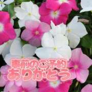 ヒメ日記 2025/08/02 18:03 投稿 芦名 錦糸町おかあさん