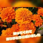 ヒメ日記 2025/08/10 18:12 投稿 芦名 錦糸町おかあさん