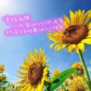 ヒメ日記 2025/08/20 18:15 投稿 芦名 錦糸町おかあさん