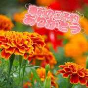 ヒメ日記 2025/08/25 18:01 投稿 芦名 錦糸町おかあさん