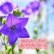 ヒメ日記 2025/09/03 18:15 投稿 芦名 錦糸町おかあさん