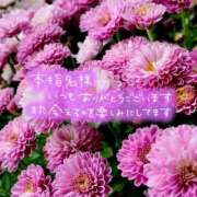 ヒメ日記 2025/09/16 19:06 投稿 芦名 錦糸町おかあさん