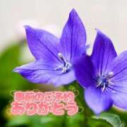 ヒメ日記 2025/09/29 12:44 投稿 芦名 錦糸町おかあさん