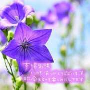 ヒメ日記 2025/10/21 17:42 投稿 芦名 錦糸町おかあさん